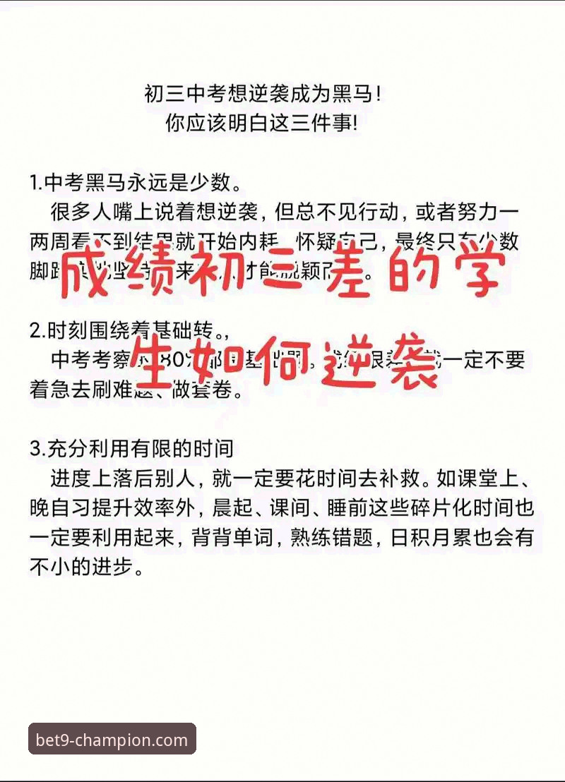 如何高效解决9博体育平台的常见问题？一份技术评测员的深度指南